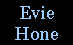 Evie Hone button